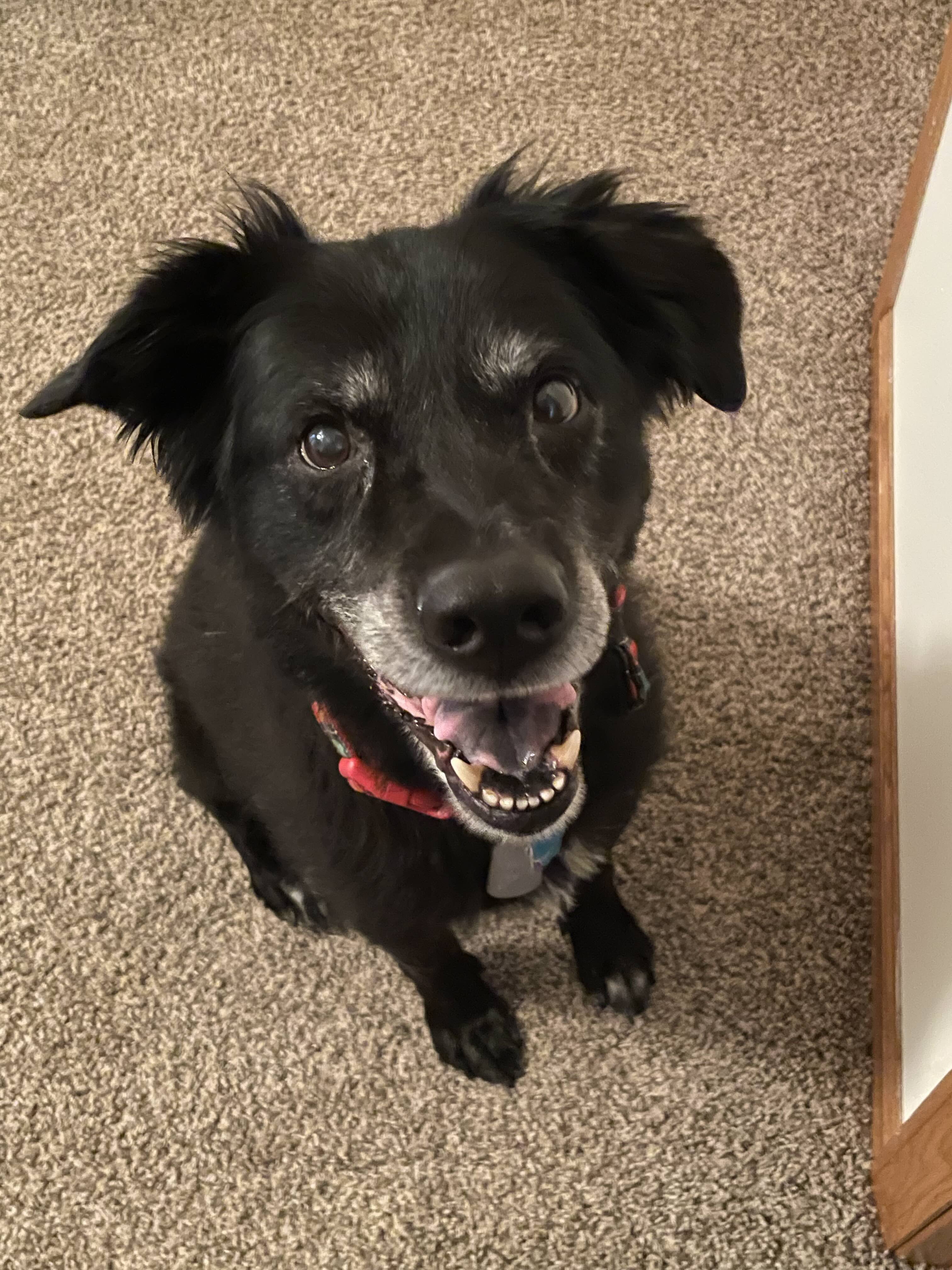 (image for) Mike Hamm